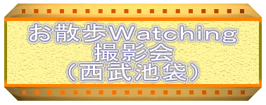 お散歩Ｗａｔｃｈｉｎｇ
撮影会
（西武池袋）