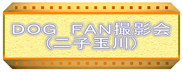 ＤＯＧ　ＦＡＮ撮影会
(二子玉川)