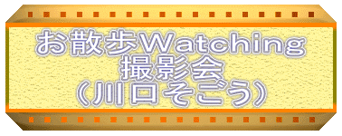 お散歩Ｗａｔｃｈｉｎｇ
撮影会
（川口そごう）