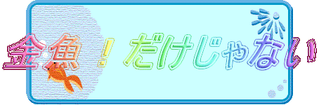 金魚！だけじゃない
