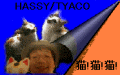 HassyTyaco研究所へ