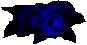 icon-blue-rose03.gif