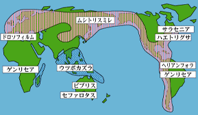 世界地図