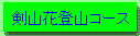 剣山花登山コースへ