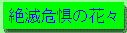 絶滅危惧の花々へ