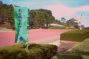 動物園ポニー牧場前の芝生