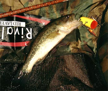 1st BASS in 2003!