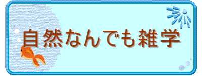 自然なんでも雑学