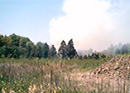 東郷町の山火事