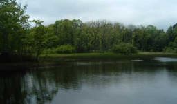 野幌森林公園原の池