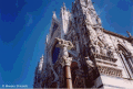 Duomo lupa_thumb.png