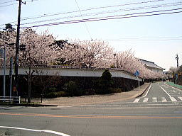 藤田曲輪跡あたり