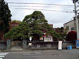 養生幼稚園