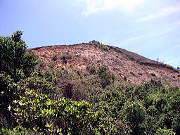 藤原山南西斜面