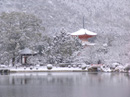 京都 嵯峨野