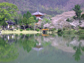 京都 嵯峨野