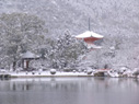 京都嵯峨野