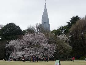 新宿御苑