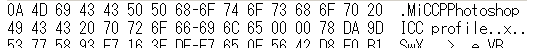 binary2.png(2017 byte)