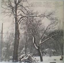 BRUCE　COCKBURN/High　Winds　White　Sky裏