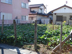 小山市の不動産