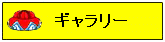 公演写真集＆動画